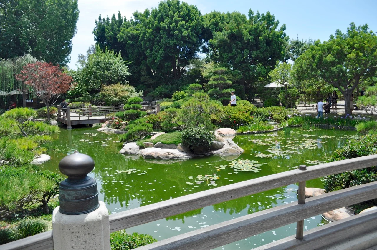 Japanese Garden (Earl Burns Miller Japanese Garden)
